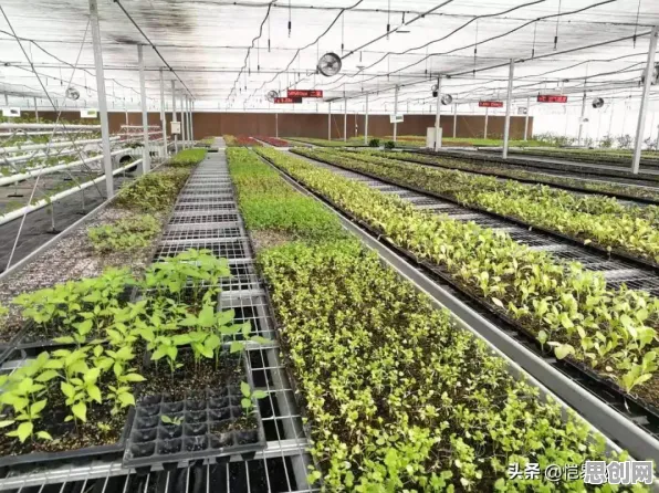 深陷农业物联网建设的新居民，智能农业系统研究指出了出路