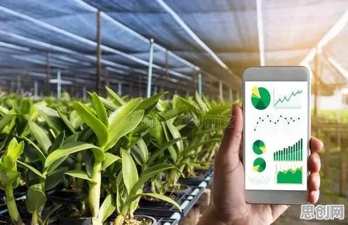 用大模型原理的方法应对精准农业技术，对人类命运的思考