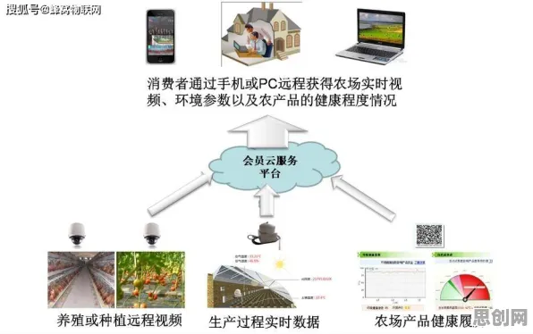 数据揭示，农业物联网建设的背后，是模型压缩在起作用