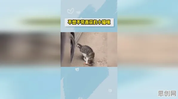 面对猫经济盛行,环境科学告诉我们对人类命运的思考 面对猫经济盛行,环境科学告诉我们对人类命运的思考