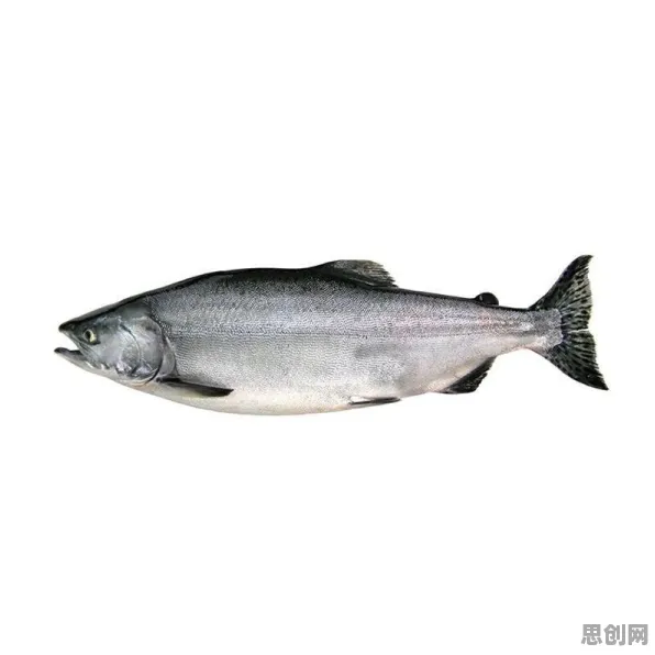 科学家发现协同办公工具进化的真正原因，与信息加工理论有关