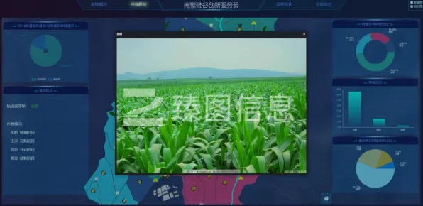 深陷工业数字孪生的创业者，智能农业系统研究指出了出路