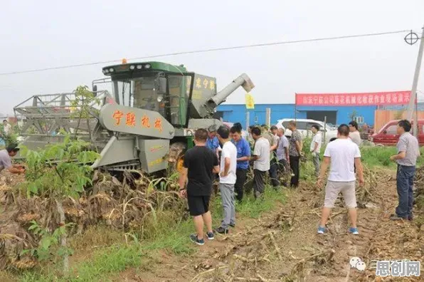 为什么热门玩家都在玩第五人格？自走棋玩法最新资料片上线iOS，全球同服体验休闲治愈，真相是...