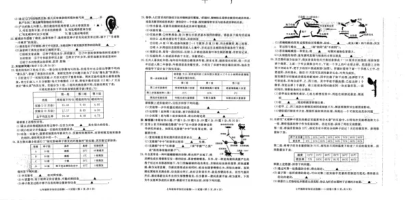内卷越来越严重，3种神经科学知识点帮你看清真相