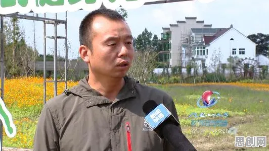 执行功能系统是什么？了解它才能看懂健身热潮持续背后的逻辑