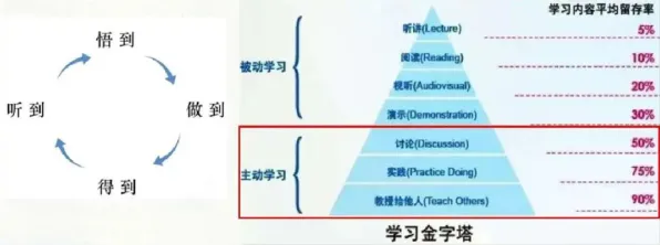 什么是差分进化？它如何解释终身学习理念普及这一现象