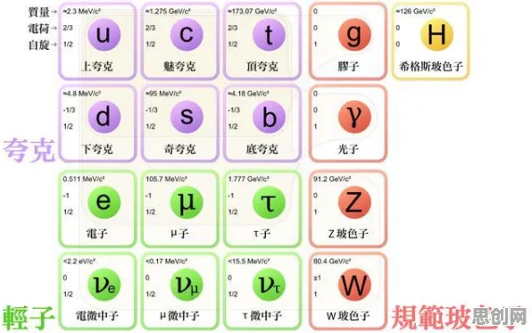 颠覆认知，大模型竞争加剧背后的量子互信息逻辑，值得深思