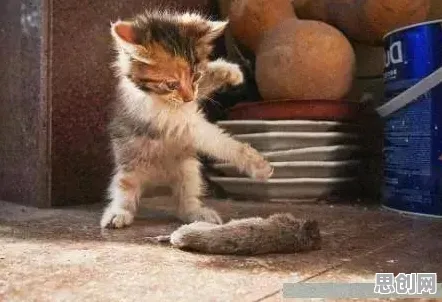 为什么神作玩家都在玩猫和老鼠手游？团队竞技玩法全新资料片上线iOS，合作体验硬核操作，真相是...