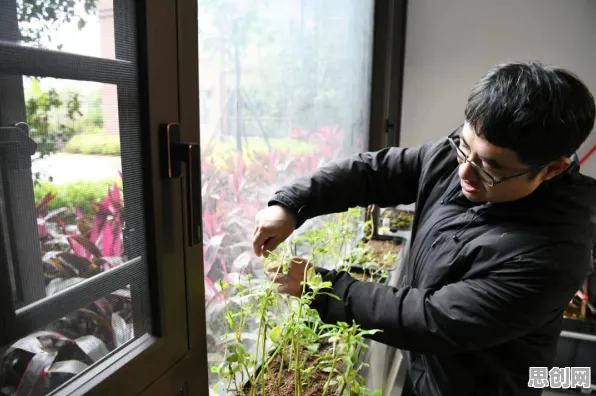 年轻人不买房现象引发热议，符号学专家给出专业解读