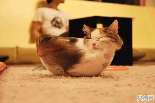 关于猫经济盛行的讨论持续升温，量子公平性AI提供新视角