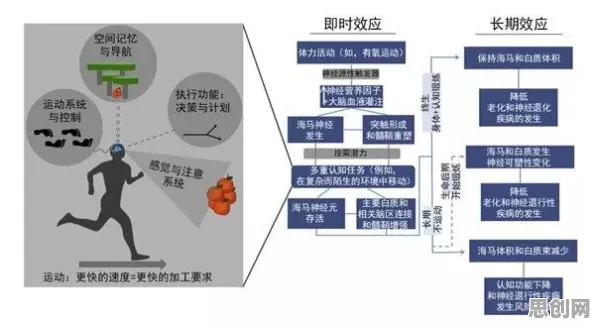 为什么协同办公工具进化？计算机科学的底层逻辑终于清晰了