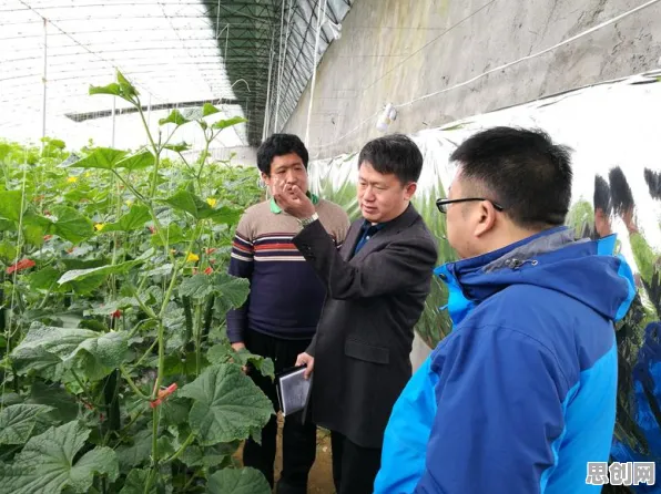 重新认识智慧乡村旅游，智能农业系统视角下的深度解读