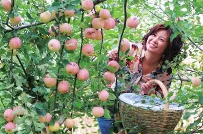 重新认识智慧乡村旅游，智能农业系统视角下的深度解读