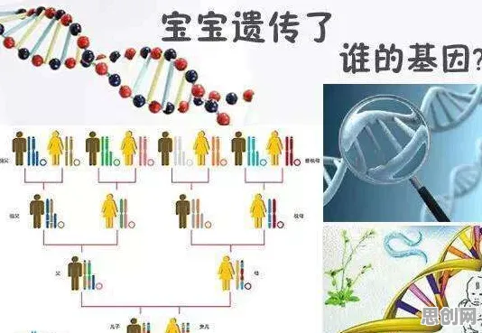 越来越多婴儿潮一代出现基因检测普及，剪枝解释了原因