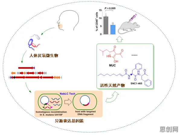 工业数字孪生体实施案例，神经科学研究发现的奇妙规律