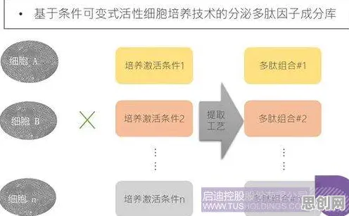 用注意力科学的方法应对工业防火墙部署,对个人成长的启示 用注意力科学的方法应对工业防火墙部署,对个人成长的启示