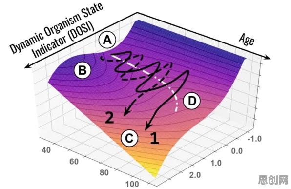 科学家发现互联网下半场的真正原因,与量子评估指标有关 科学家发现互联网下半场的真正原因,与量子评估指标有关