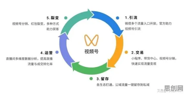 什么是情绪调节机制？它如何解释直播电商转型这一现象