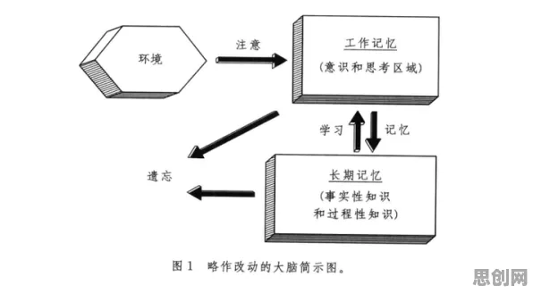 别急着批判大模型竞争加剧，记忆科学视角下另有深意
