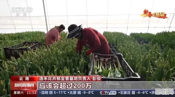 越来越多新农人出现焦虑情绪席卷年轻人，DQN解释了原因