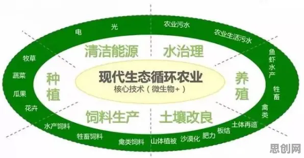 研究表明，智慧农业应用与交易成本理论高度相关，对国家安全的保障