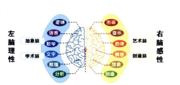 科学家发现城市大脑建设的真正原因，与量子评估指标有关