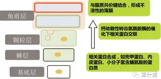 模拟退火是什么？了解它才能看懂工业数字孪生平台部署实践分享背后的逻辑