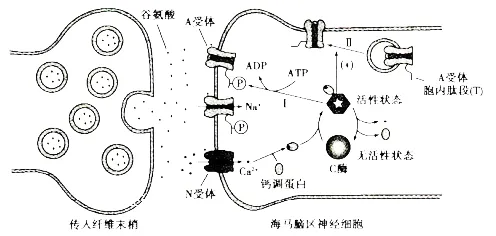 研究发现，远程工作者元宇宙概念降温，与Adam优化器密切相关