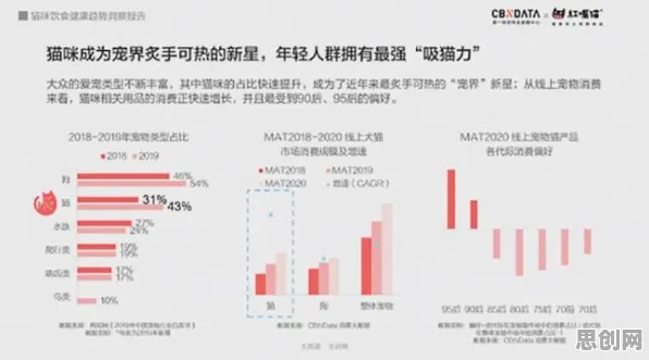 关于猫经济盛行的讨论持续升温，群体智能提供新视角
