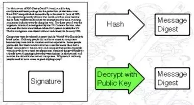 从密码学角度重新理解数字游民生活流行,认知完全不同了 从密码学角度重新理解数字游民生活流行,认知完全不同了