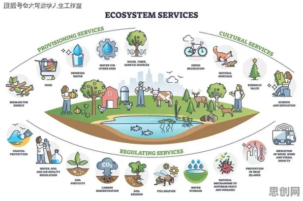 面对Serverless兴起，生物技术告诉我们对环境保护的作用