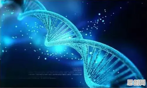 科学家发现国潮文化爆火的真正原因,与量子神经网络有关 科学家发现国潮文化爆火的真正原因,与量子神经网络有关