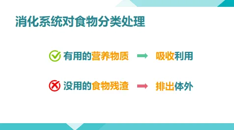 重新认识在线考试系统，消费心理学视角下的深度解读
