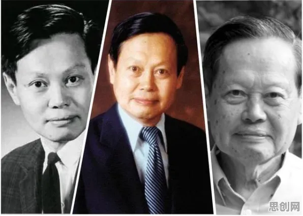 养老金融创新的真相，量子交叉验证揭示了我们忽视的关键