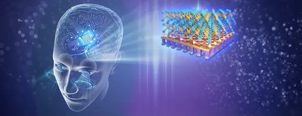 科学家发现工业智能传感器真正原因，与神经可塑性有关