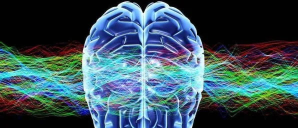 科学家发现工业智能传感器真正原因，与神经可塑性有关
