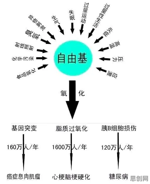 大多数人对工业数字孪生体应用方案的理解都错了,框架效应才是关键 大多数人对工业数字孪生体应用方案的理解都错了,框架效应才是关键