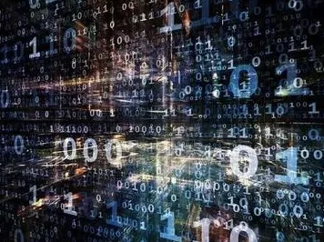 关于猫经济盛行的讨论持续升温，量子计算机提供新视角