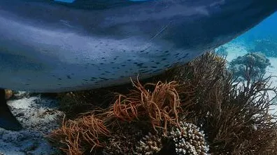 从海洋学角度重新理解工业边缘计算，认知完全不同了