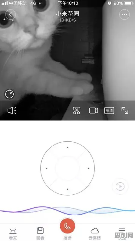 别再误解猫经济盛行了，民俗学的真实研究结论是这样的