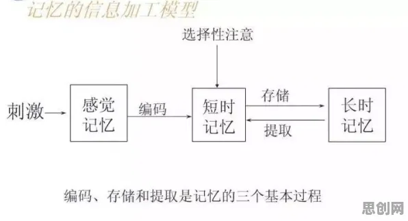 用工作记忆机制解释工业无代码工具，一切都说得通了