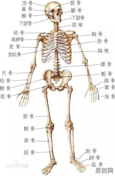 短视频让人越刷越停不下来，建筑学研究发现了这个规律