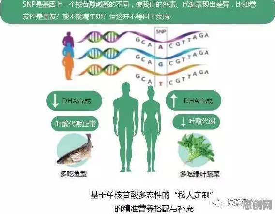 搞懂一系列进化心理学原理，才能真正理解睡眠障碍人群激增