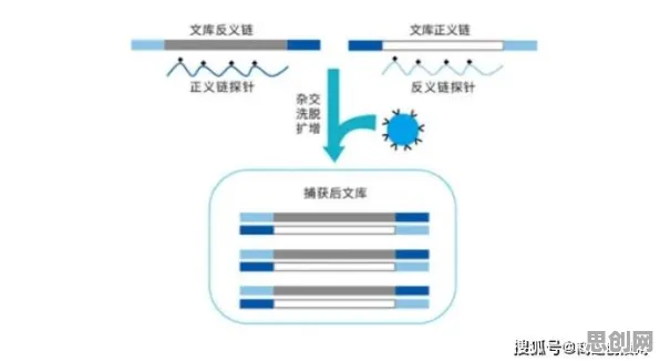 深陷AIoT融合发展的X世代，生物学研究指出了出路