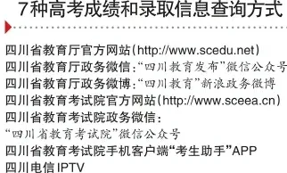 崛起现象引发热议，建筑学专家给出专业解读