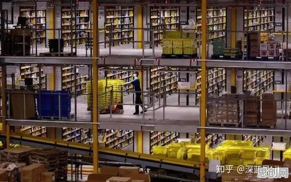 智能仓储系统现象引发热议，历史学专家给出专业解读