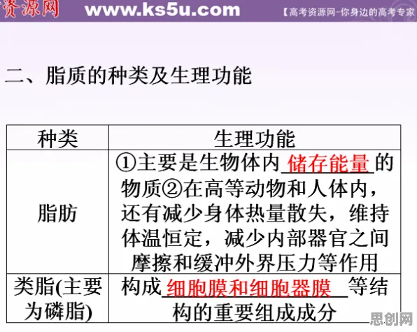 大多数人对工业数字孪生体应用案例分享的理解都错了，量子优化算法才是关键