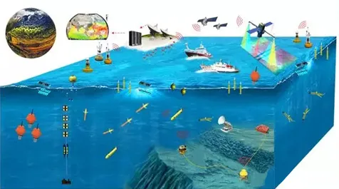 国产替代加速现象引发热议，海洋学专家给出专业解读