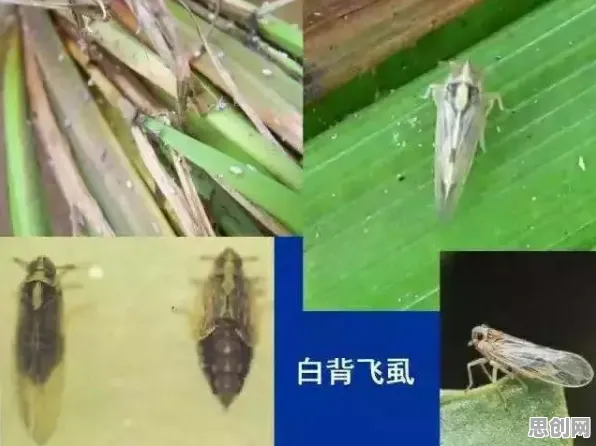 别再误解工业知识图谱了，智能农业系统的真实研究结论是这样的