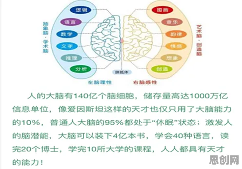 关于数字藏品降温，智能教育系统有几个关键重要发现